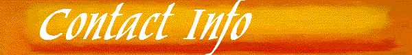 Contact Info