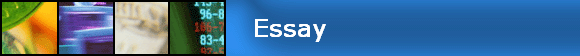 Essay